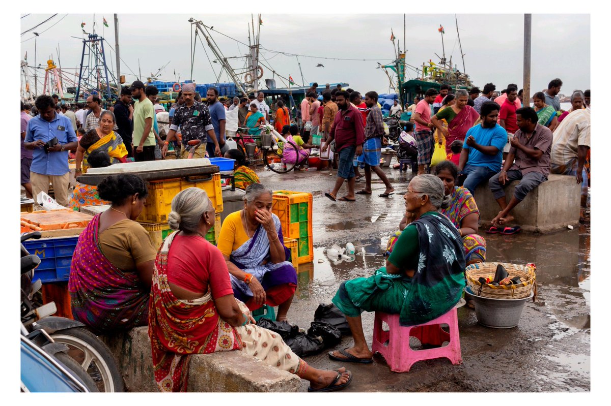 NavithShariff's tweet photo. The soul of Kasimedu ⚓️
Documenting the morning hustle at Chennai’s iconic fishing harbour. Between the colorful trawlers and the resilient spirit of the local community, every frame tells a story of the sea. https://t.co/KSpnCzExaI