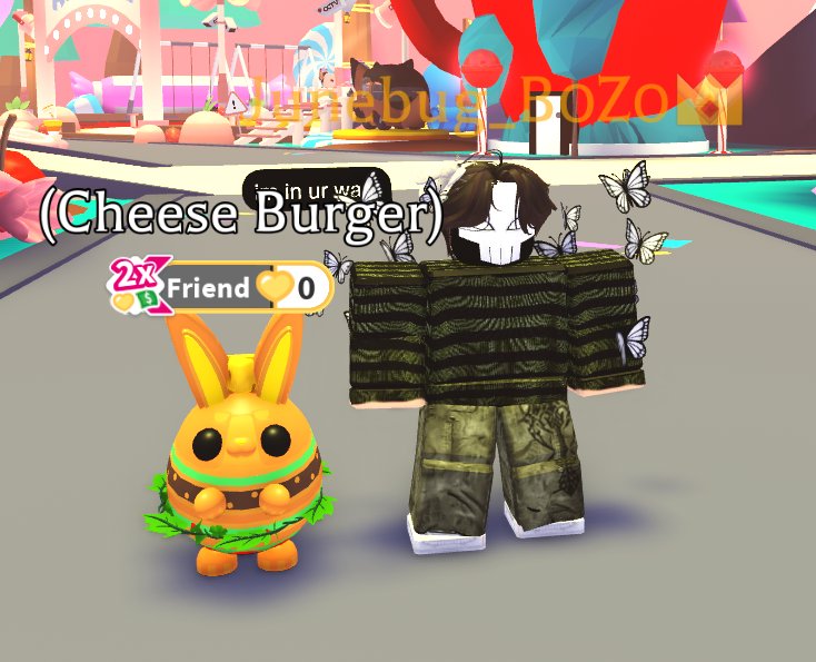 Junebug | SHAW! tweet media