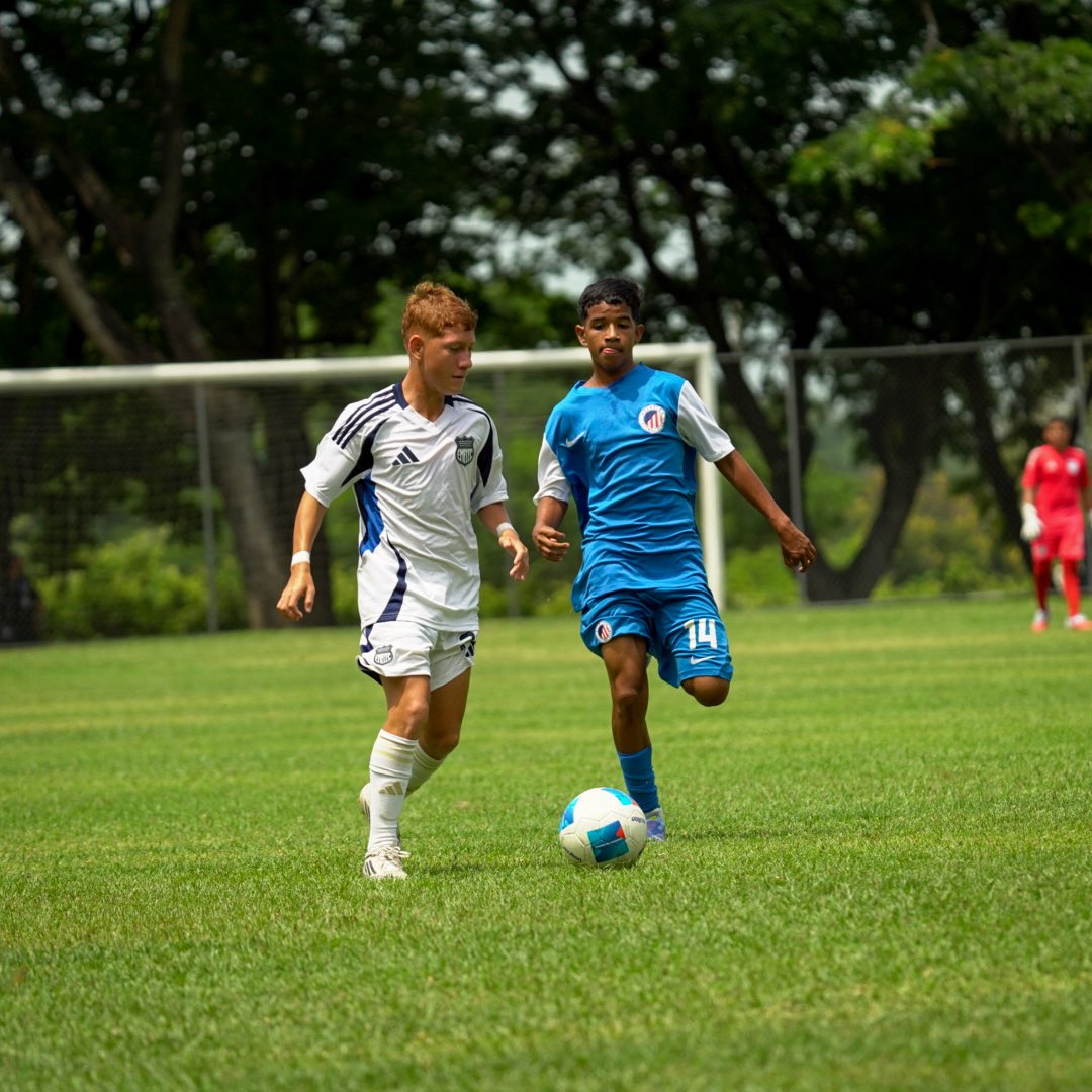 Formativas CSE tweet media