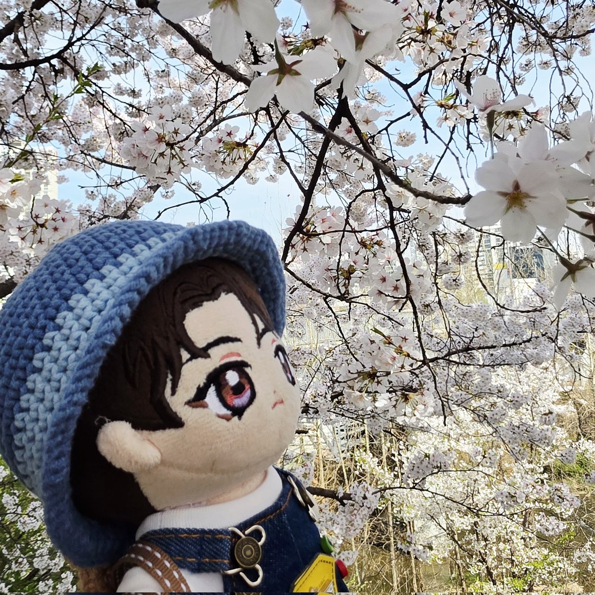 🏈아네트(๑•̀.•́๑)🍊 tweet media