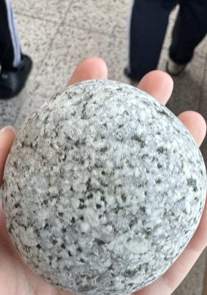 세상아나한테왜이래 tweet media