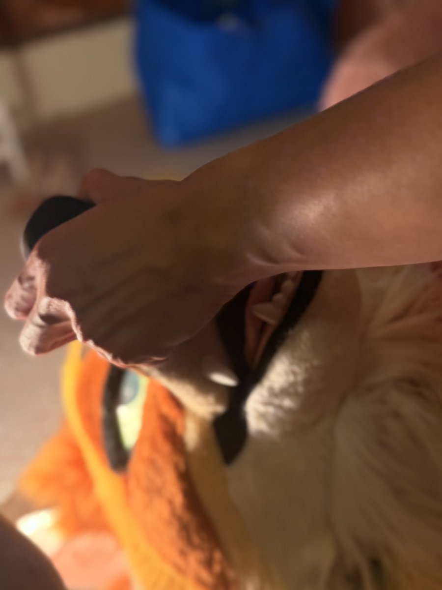 miatassme ‼️ tweet media