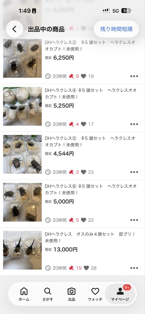 DERAカブパークのDERA tweet media