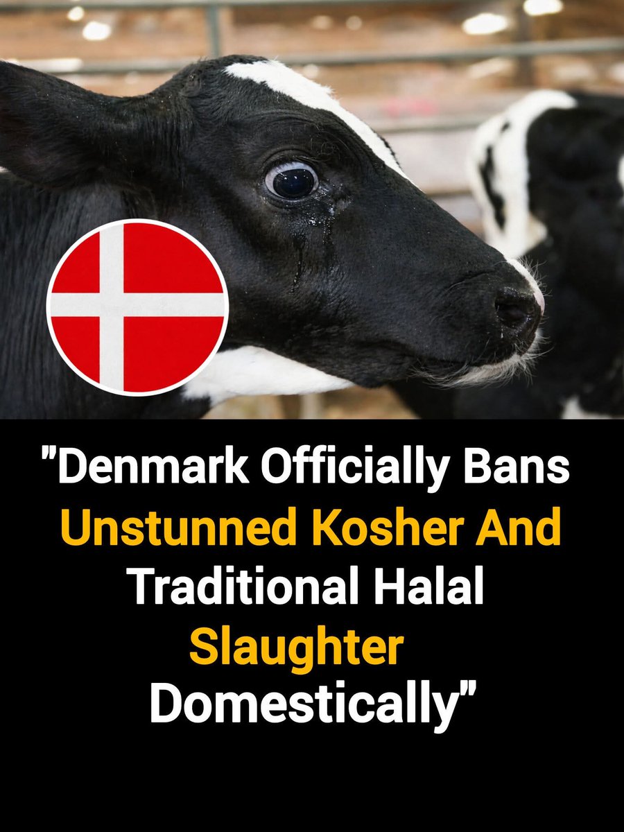 yolanda schultes tweet media