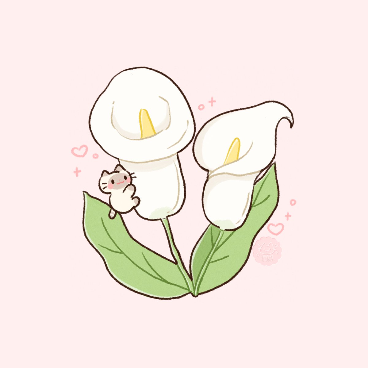 hyemi🌾 tweet media