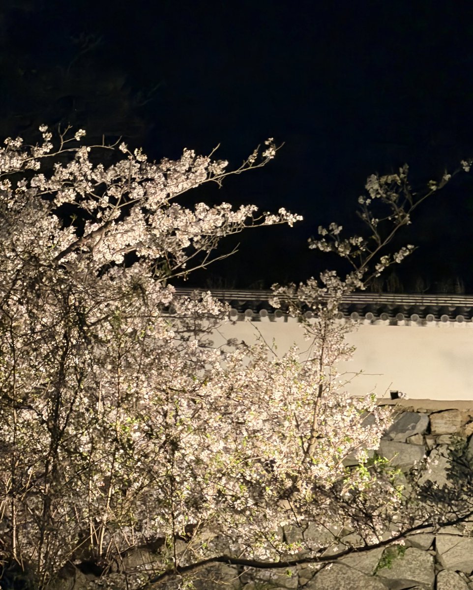 なッちゃん tweet media