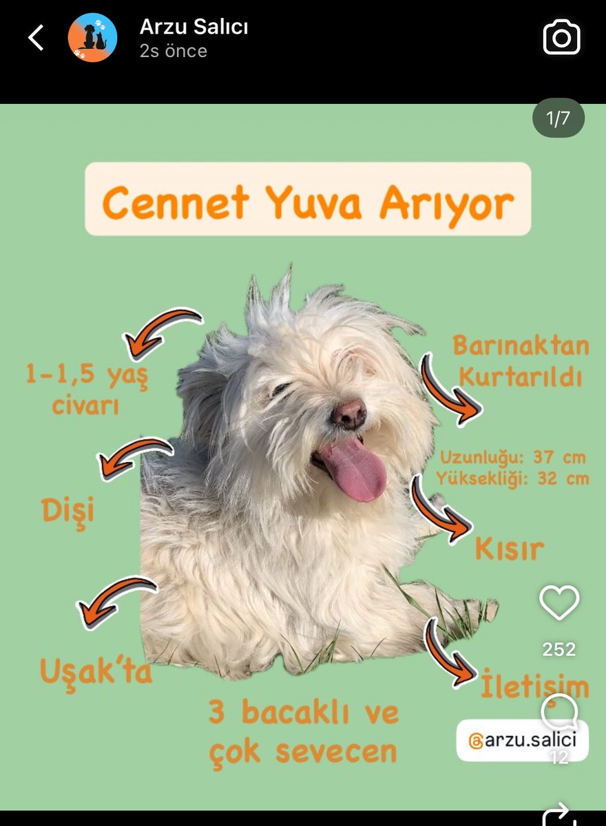 Mandalin tweet media