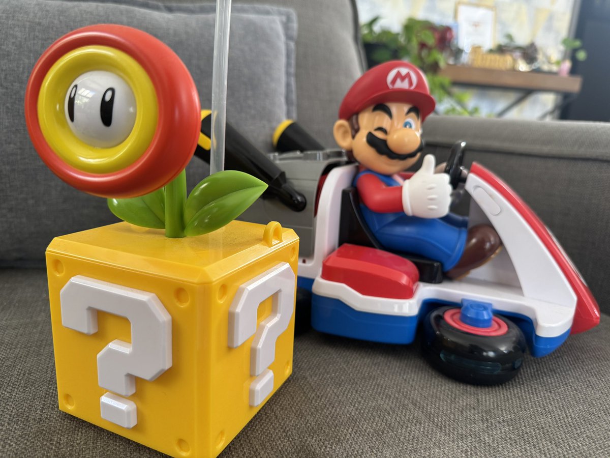 La Oxímoron 🐢🫖 tweet media