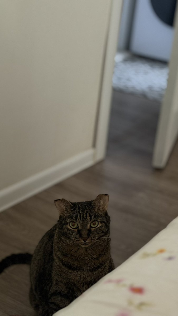 хоумблендер tweet media