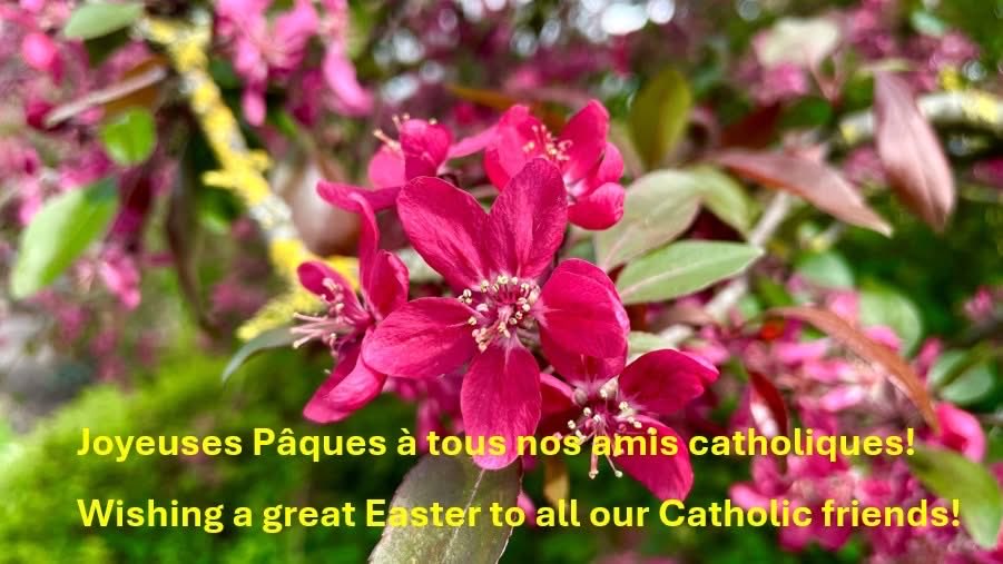 Joyeuses Pâques à tous nos amis catholiques !
Wishing a great Easter to all our Catholic friends! #Pâques #Easter