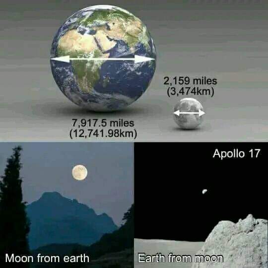 Wilson Wade tweet media