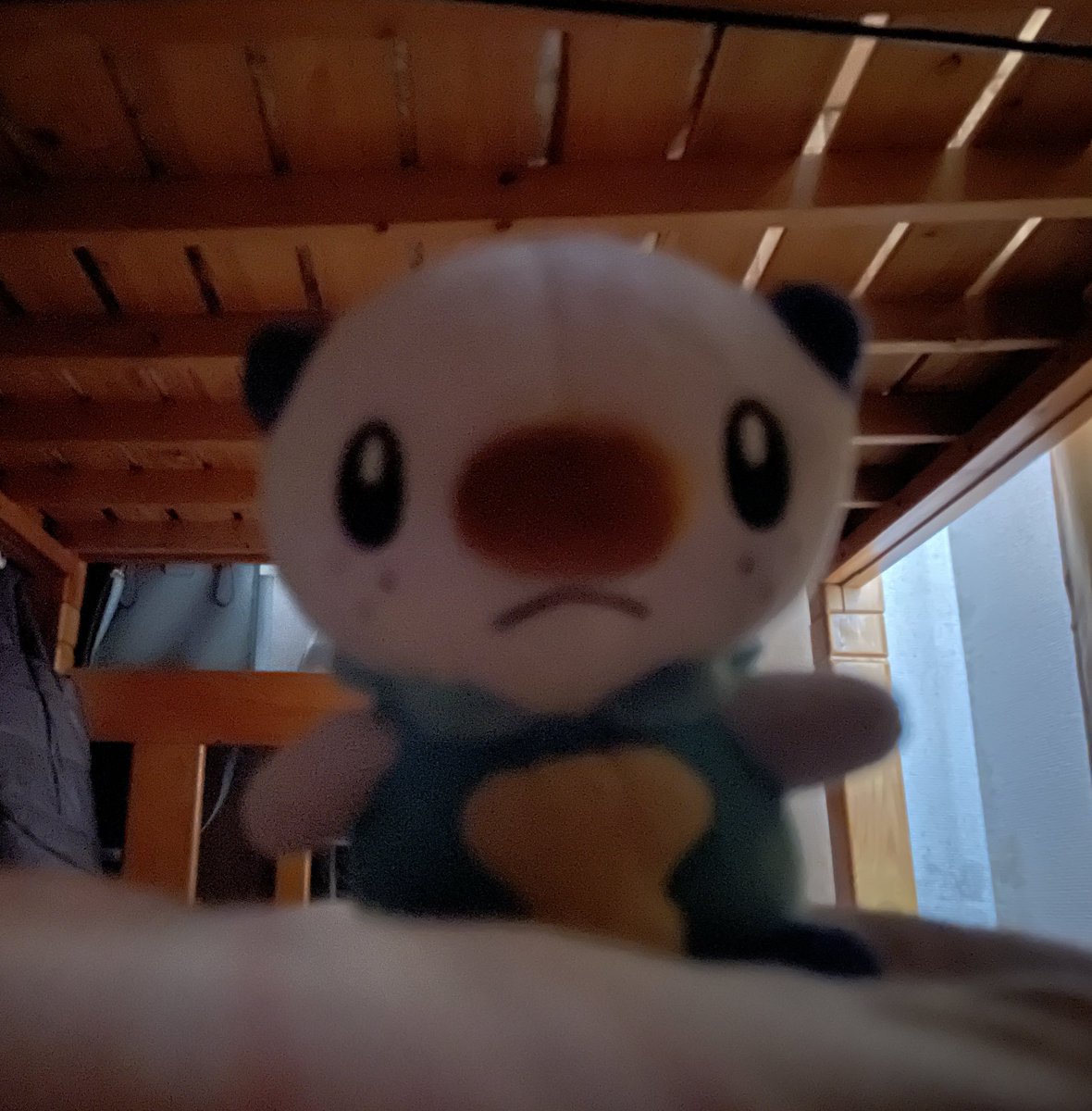 ミジュマルといっしょちゃんねる tweet media