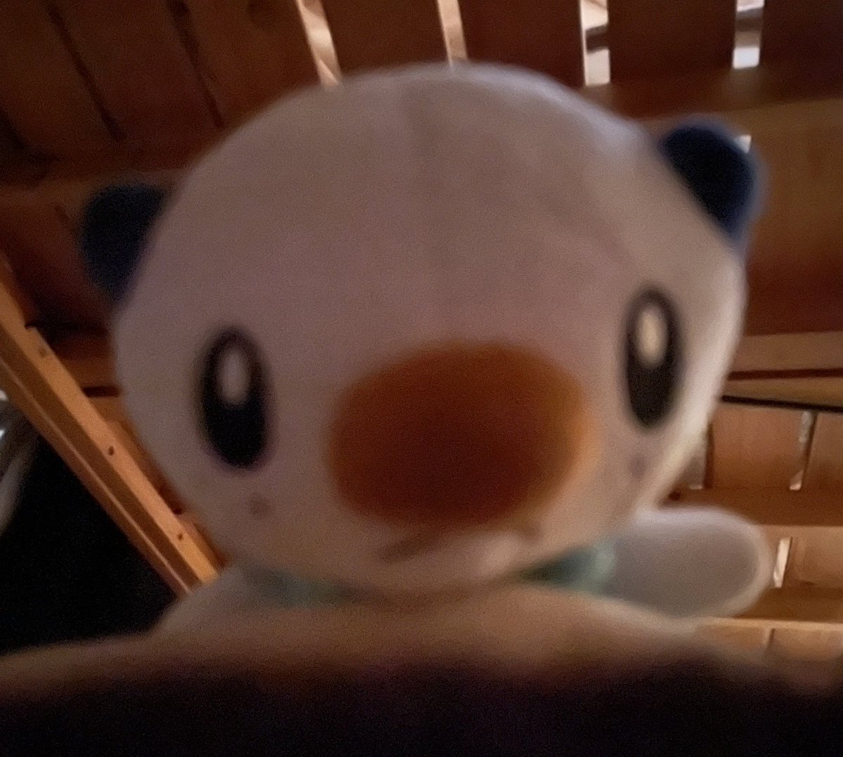 ミジュマルといっしょちゃんねる tweet media