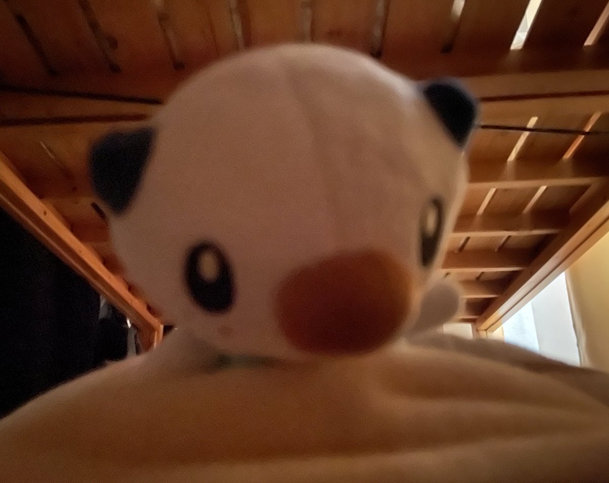 ミジュマルといっしょちゃんねる tweet media