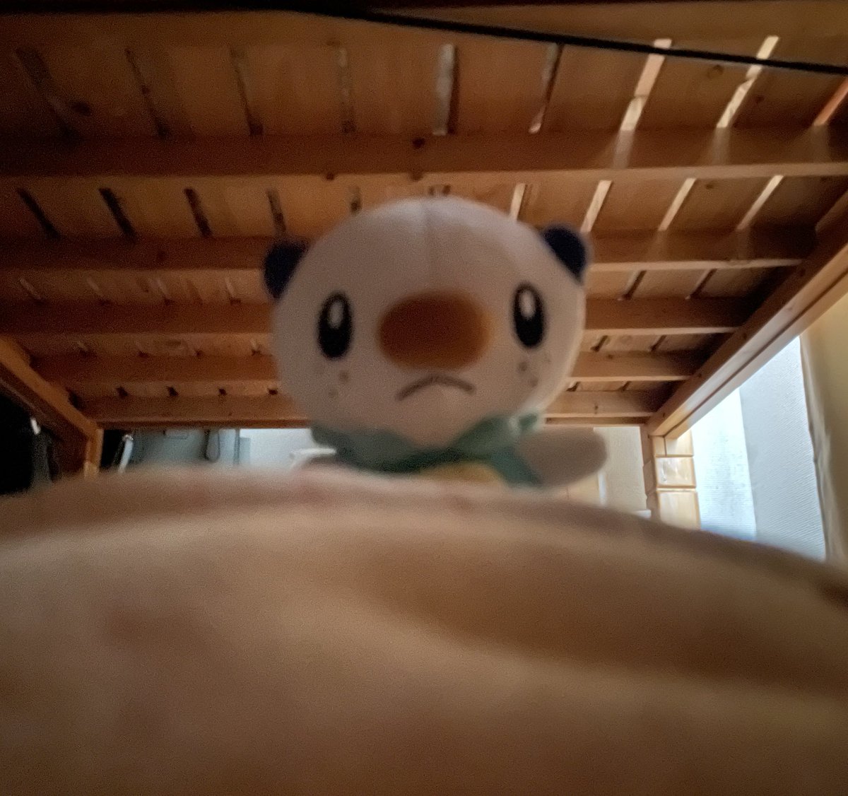 ミジュマルといっしょちゃんねる tweet media