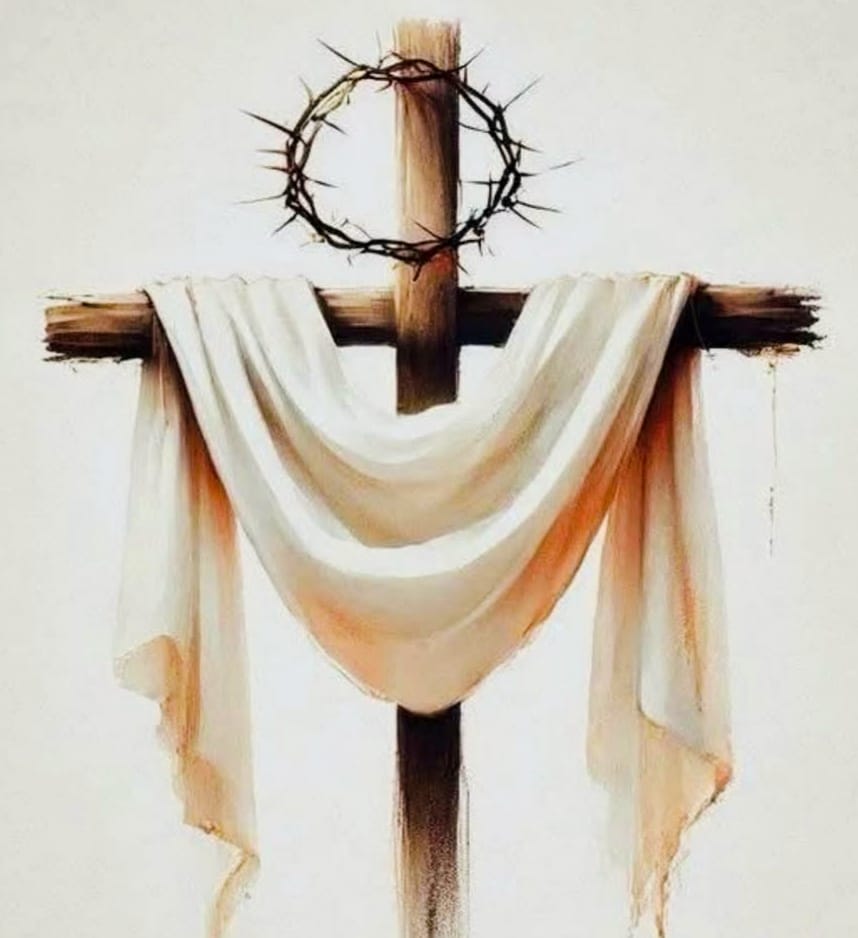 🙏🙏🙏🙏❤️❤️❤️❤️