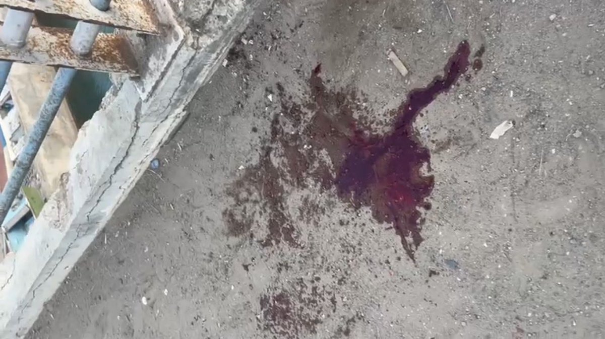 هاني مسهور tweet media