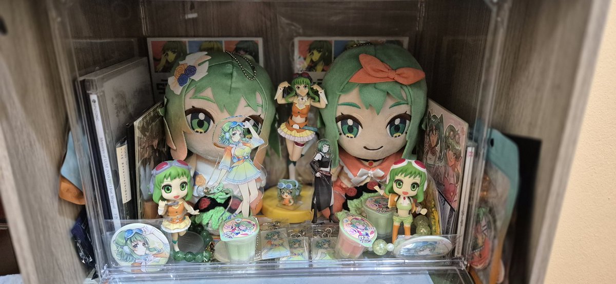kami_keto's tweet photo. Update My Shrine 2

There are a lot more gumi in the box. I try to collect some money to buy new uhhh collection shelf or smt like that rn.

(Stil have limbus and touhou goods) 

#Gumi #Megpoid https://t.co/8rlX7UKXfA