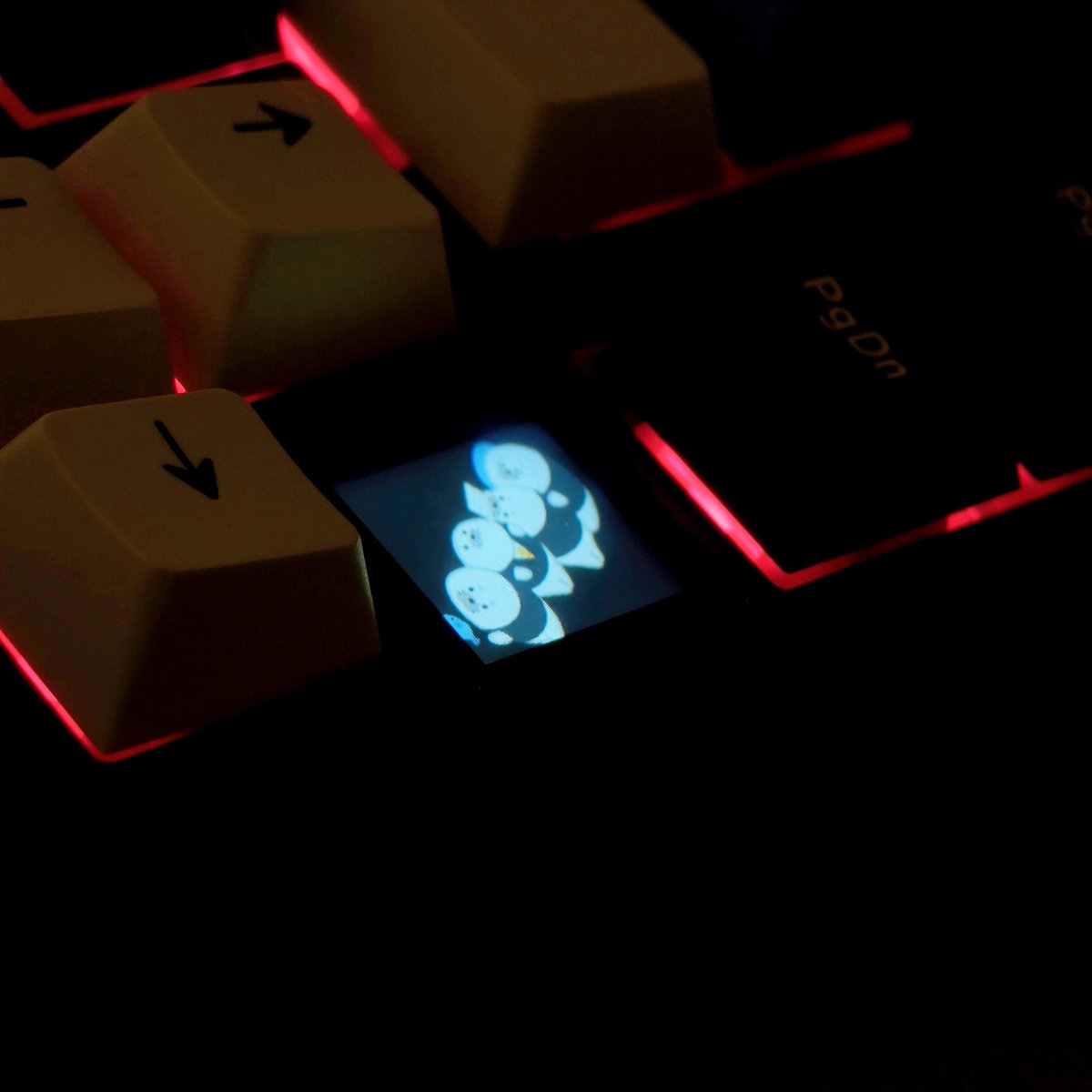 majiro002 tweet media