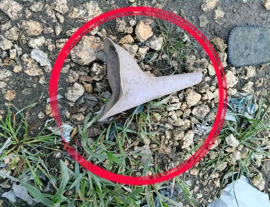 Bayrak Medya tweet media