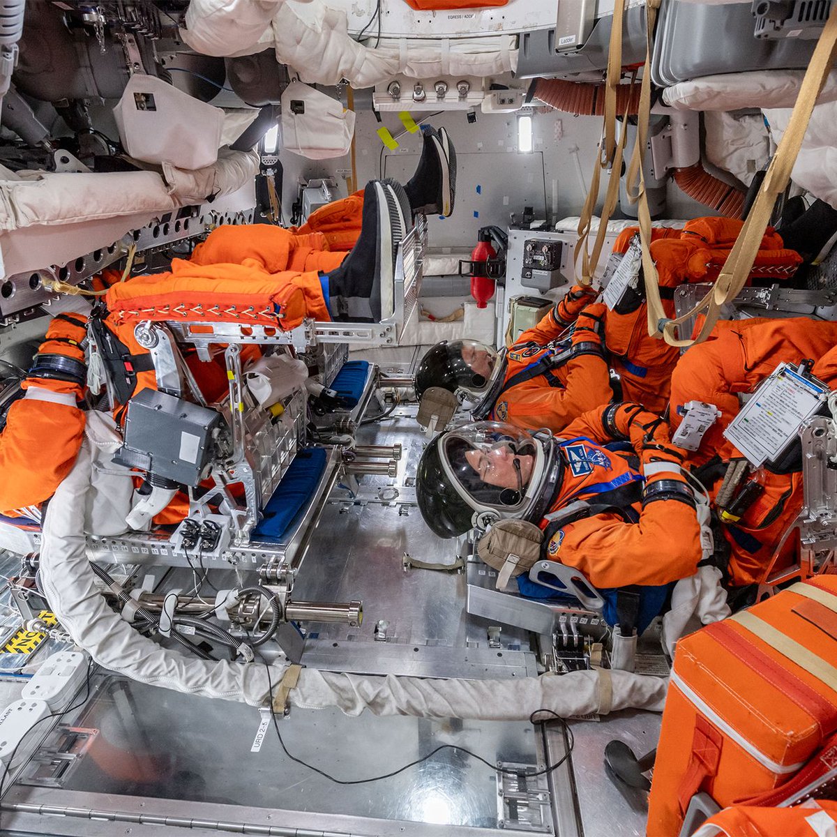 Curiosity tweet media