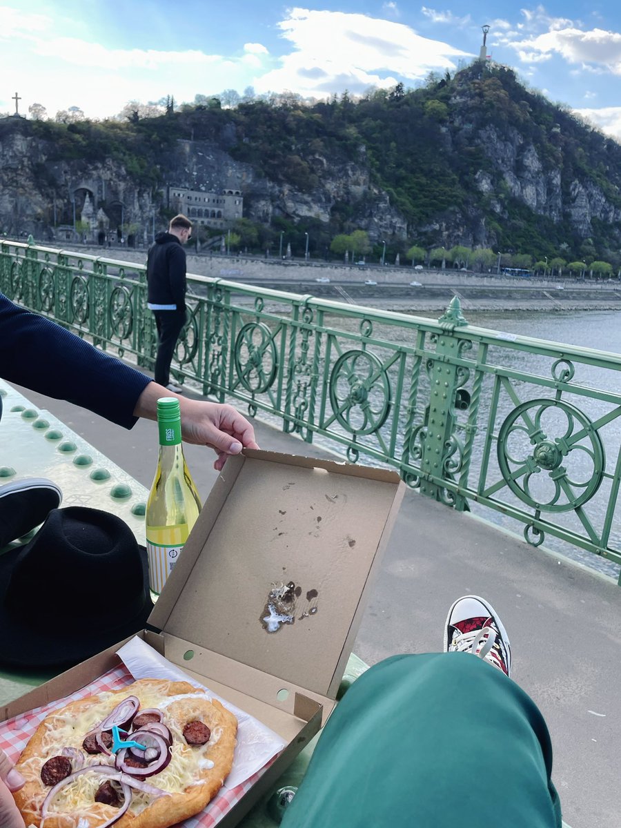 Игуанна tweet media