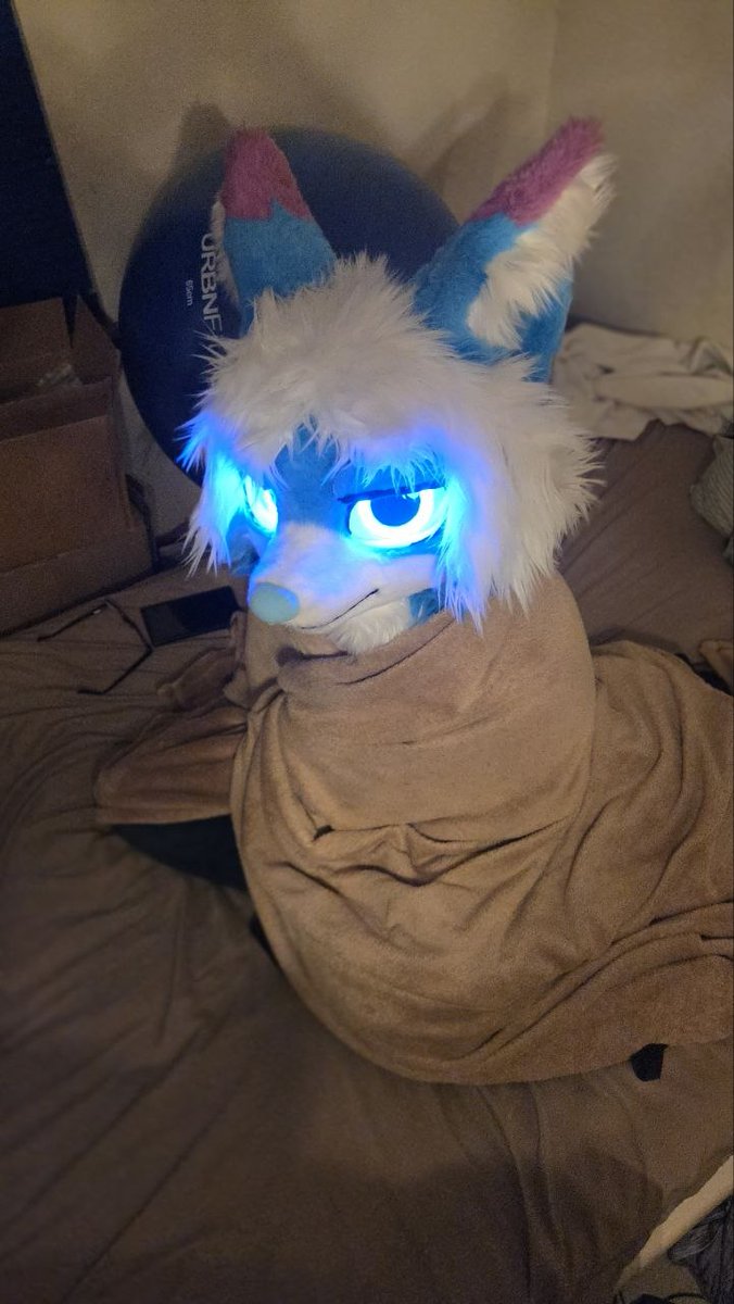 trixbeat_'s tweet photo. Would you hold him gently like hamburger?

#fursuit #kemono #fursuiteveryday https://t.co/TcbUO9wU7g