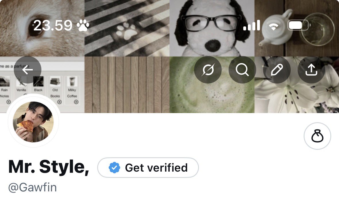 Mr. Style, tweet media