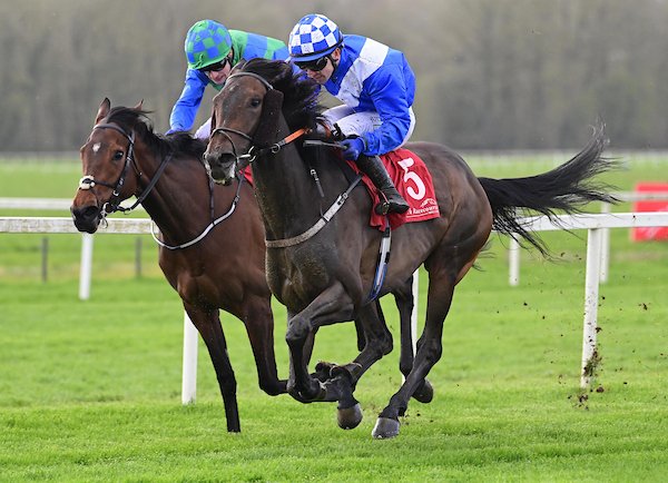 IrishEBF_'s tweet photo. MOODY (by Night Of Thunder @DarleyEurope) takes the €50,000 LISTED #IrishEBF Noblesse Stakes @corkracecourse for @ctkjockey  @ptwomeyracing and owner Mel Sutcliffe 🏆👏🏆

#EBFGoodForRacing 👏👏
#HorseRacing https://t.co/q0C9EVvi9M