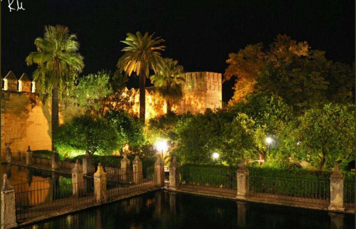 لمحات تاريخية tweet media