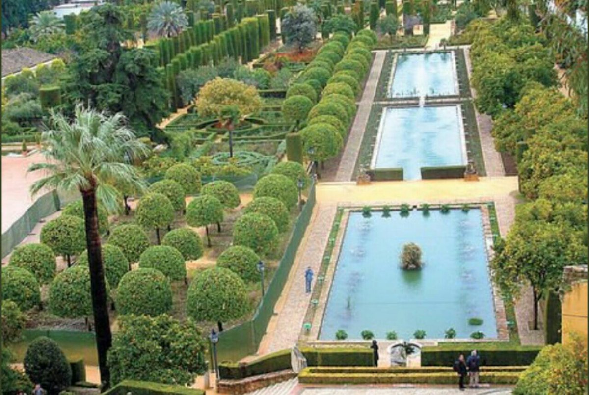 لمحات تاريخية tweet media