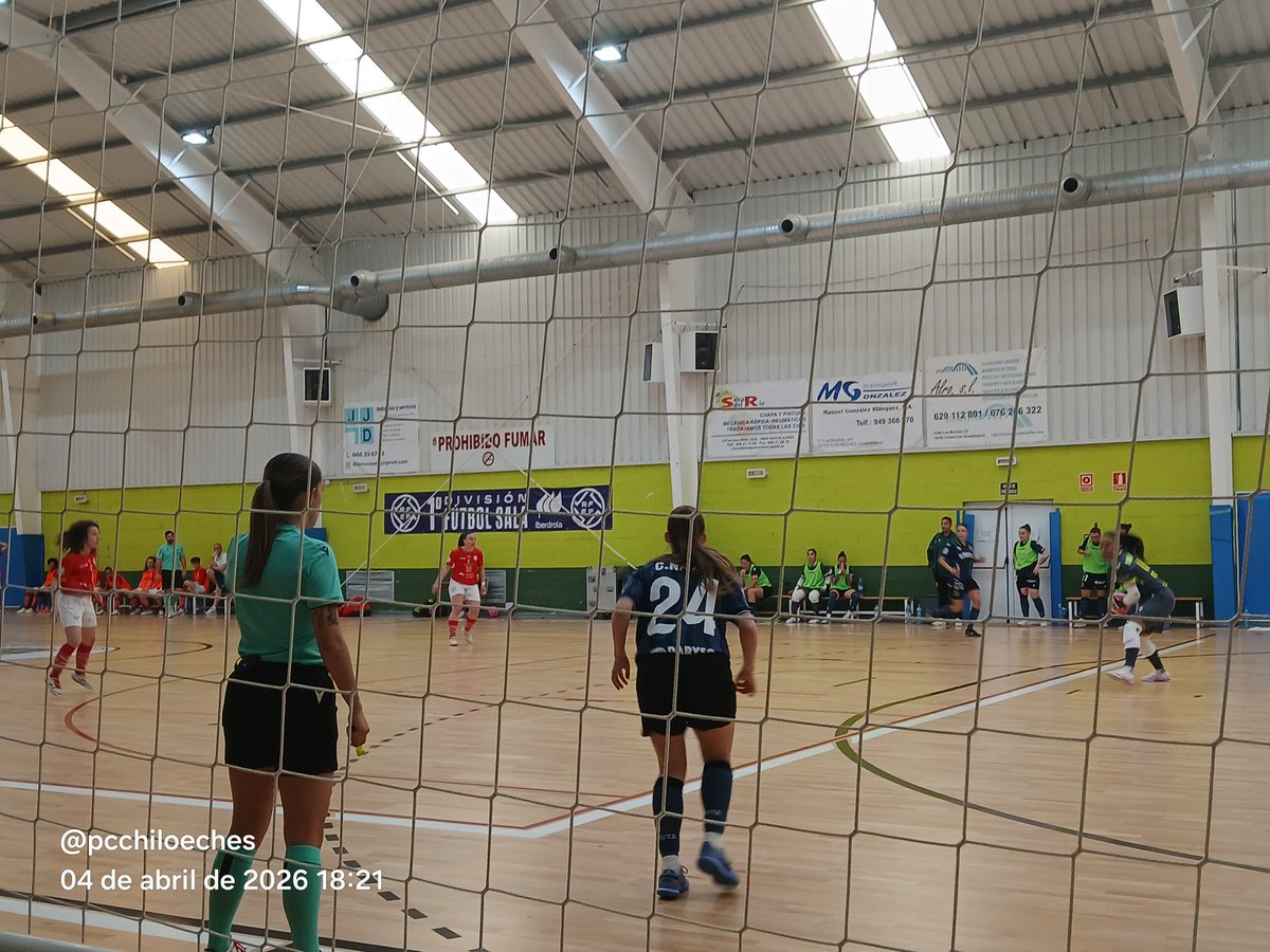 PCChiloeches01 tweet media