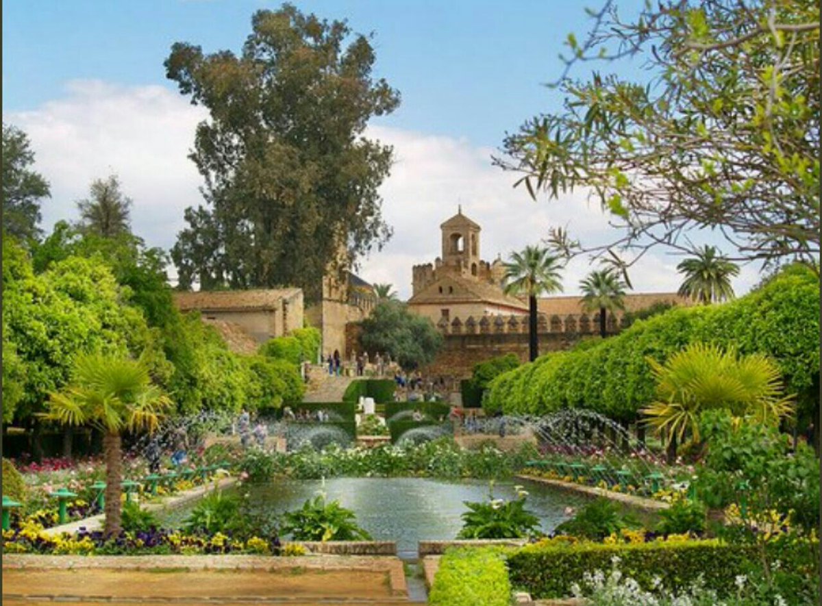 لمحات تاريخية tweet media