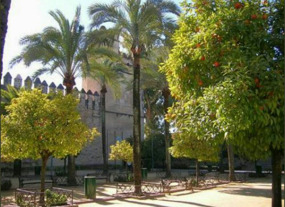 لمحات تاريخية tweet media