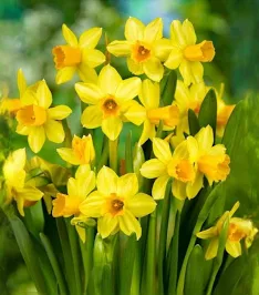 Będzie się zgrabnie komponować; na jednej albo symetrycznie, na dwóch klapach.