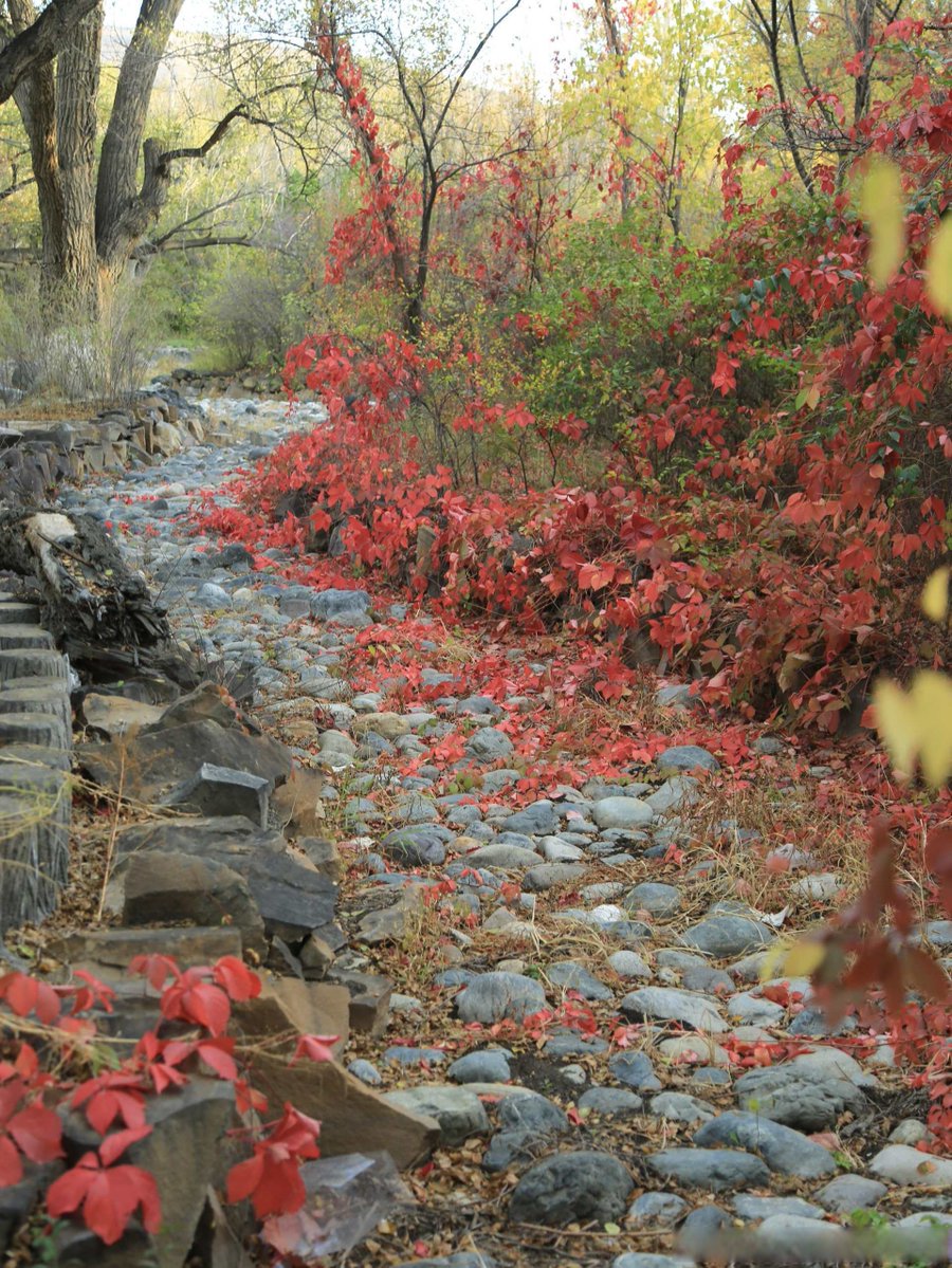 Lenwë Æ Celebrindal tweet media