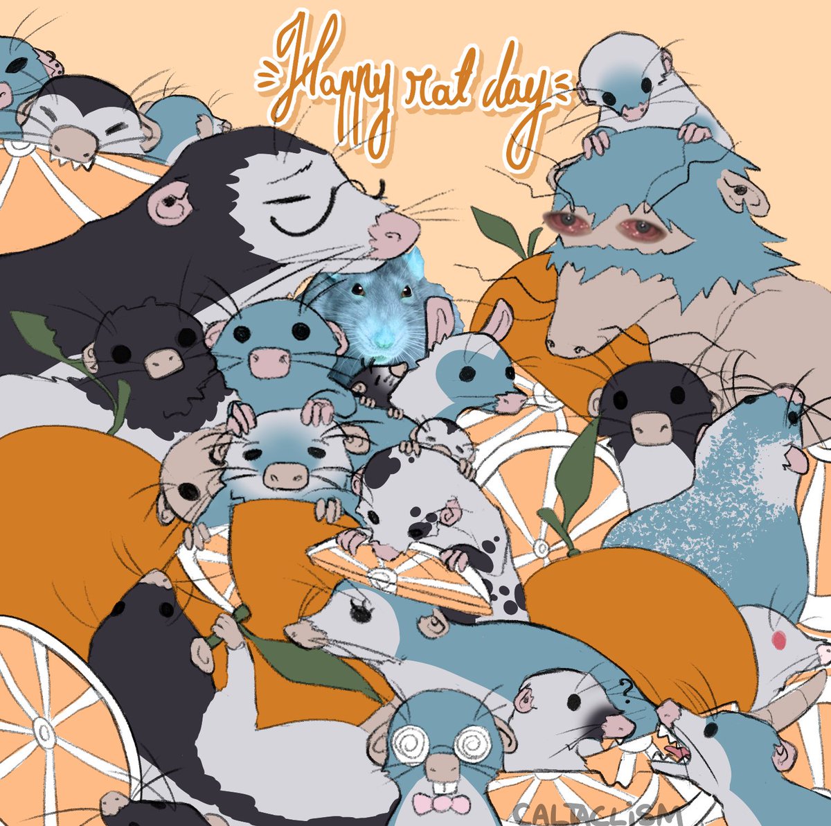 Cal 🩵 tweet media