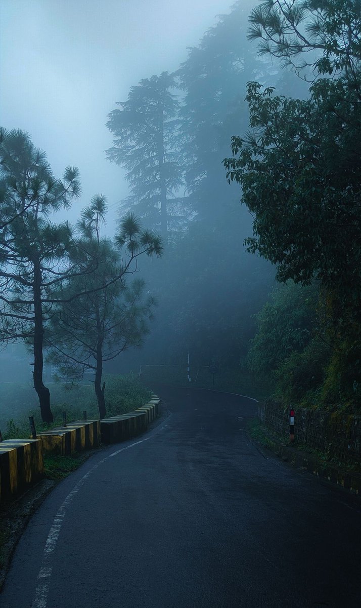 November tweet media