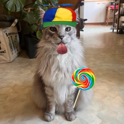 ✰флавио tweet media