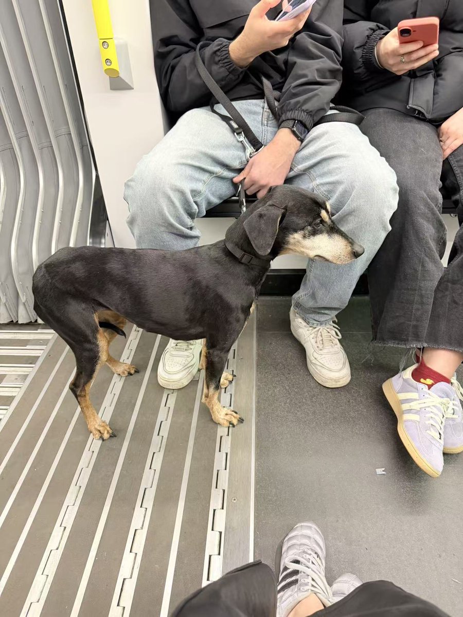 NCT Eil🚨 tweet media