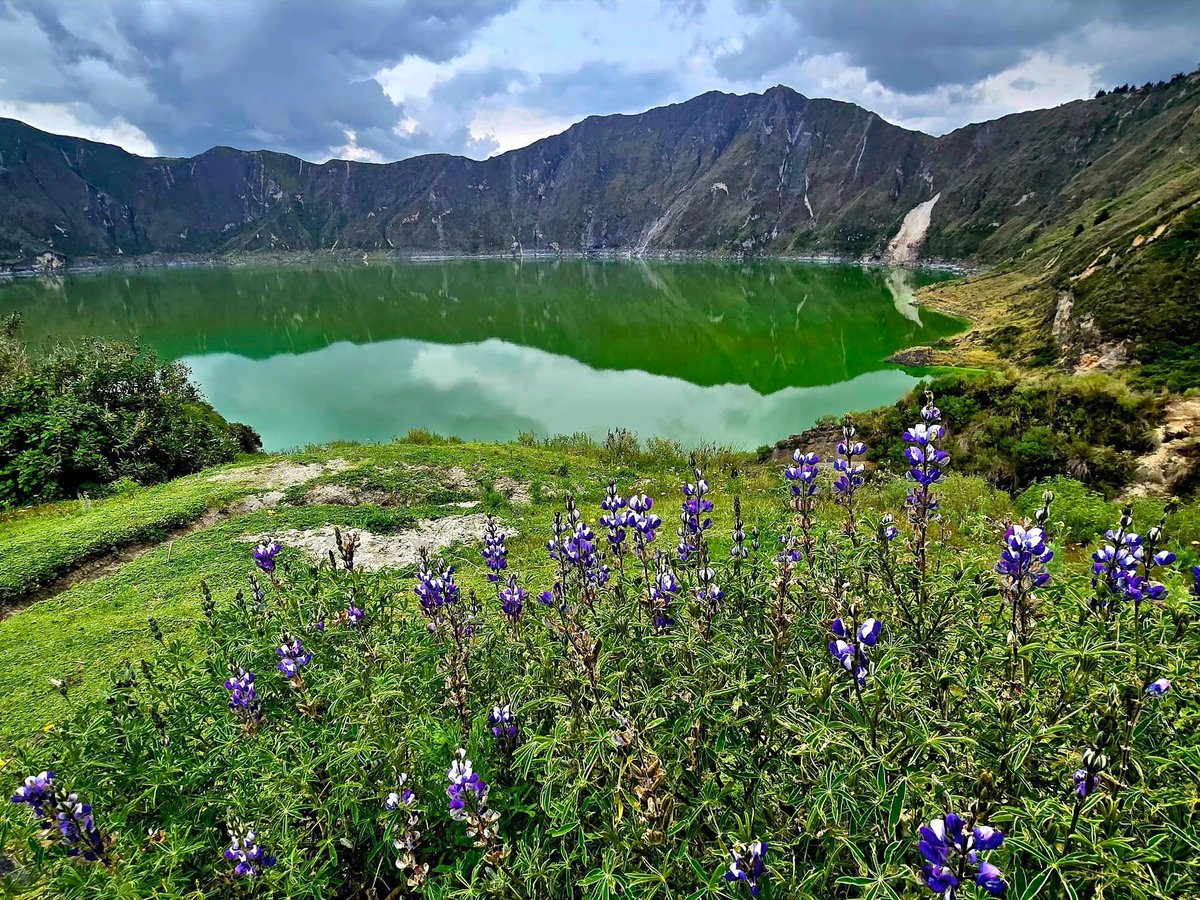 HolidayTour_'s tweet photo. Destination🛬

Îți dorești o vacanță activă sau o experiență culturală de neuitat?
Avem opțiuni pentru fiecare stil de călătorie.
https://t.co/jk8aiv3JjQ
#Travel #traveling #travelphotography #Traveller #roadtrip #familyfun #familytime #vacation #destination https://t.co/RCDLRc9UyE