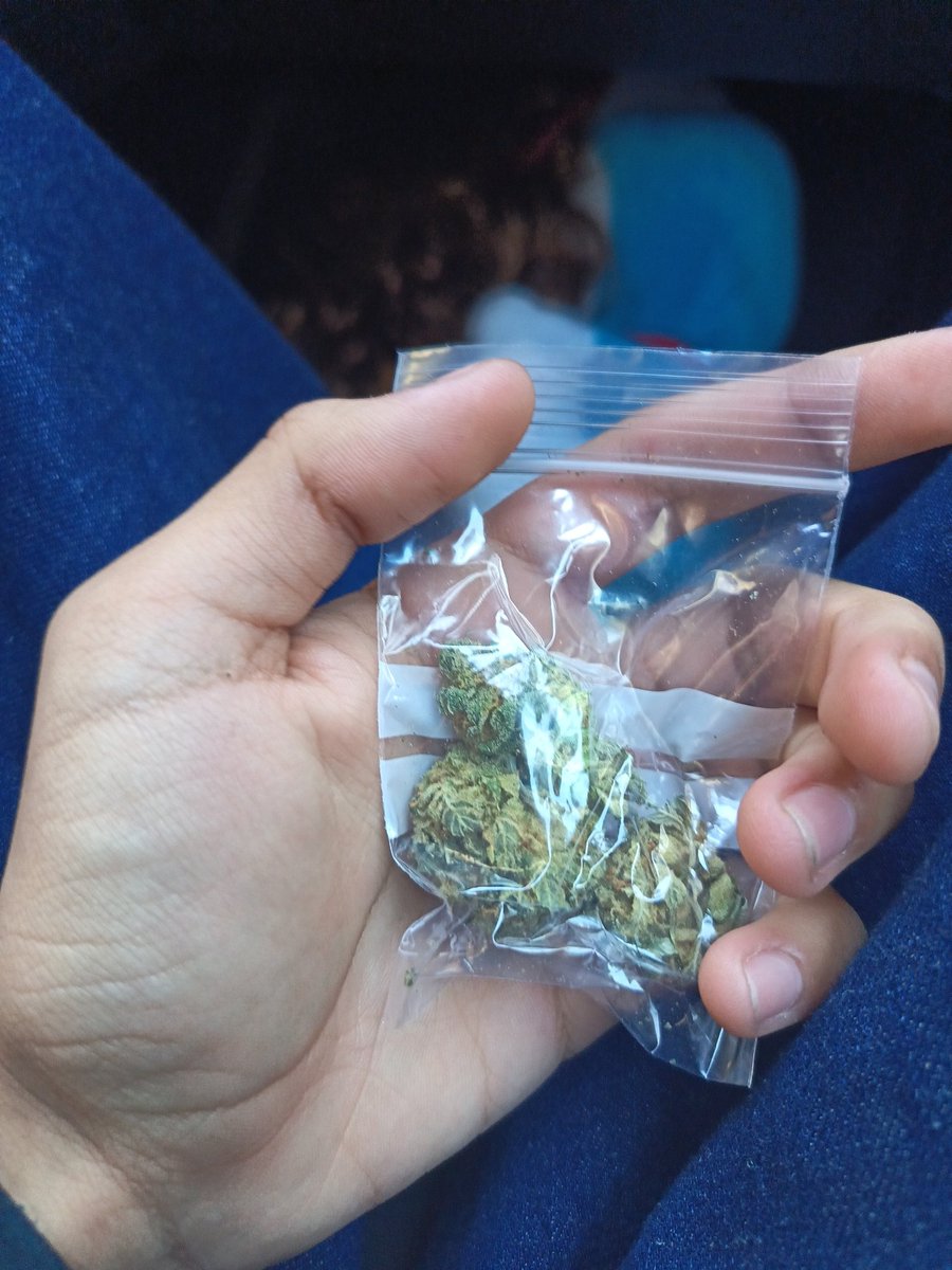 Alexanderizo tweet media