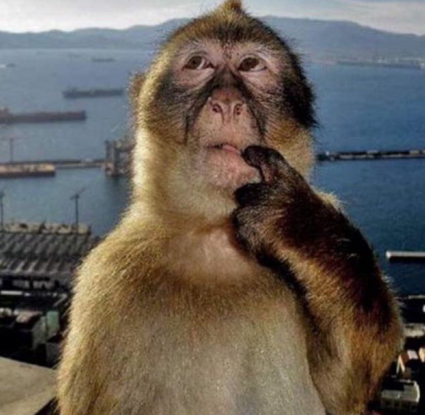 🦋Moon🦋 tweet media