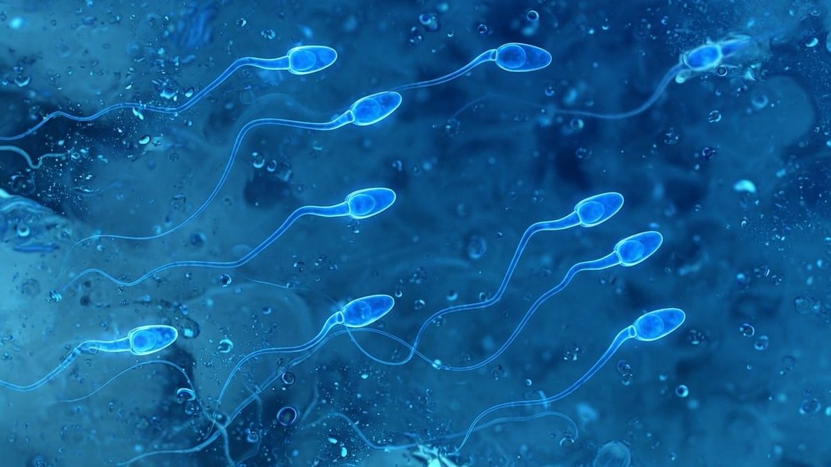 Dura lex, sed lex tweet media