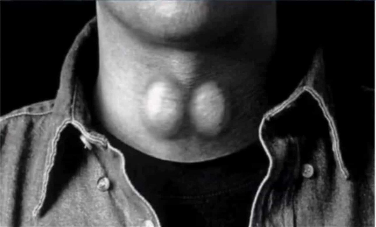 جكسد الحقيقي والله ما اكذب tweet media