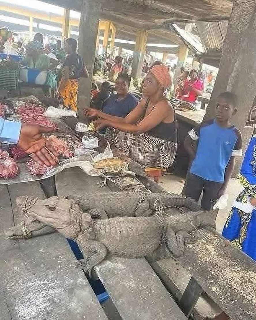 Prince💫 tweet media