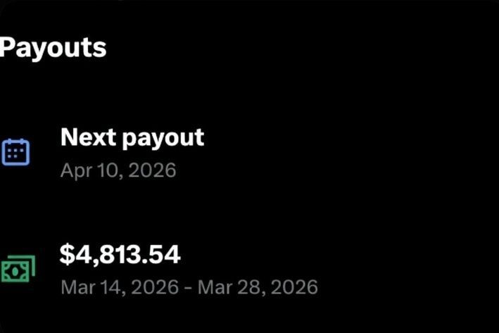 W3Brain 🦅 tweet media