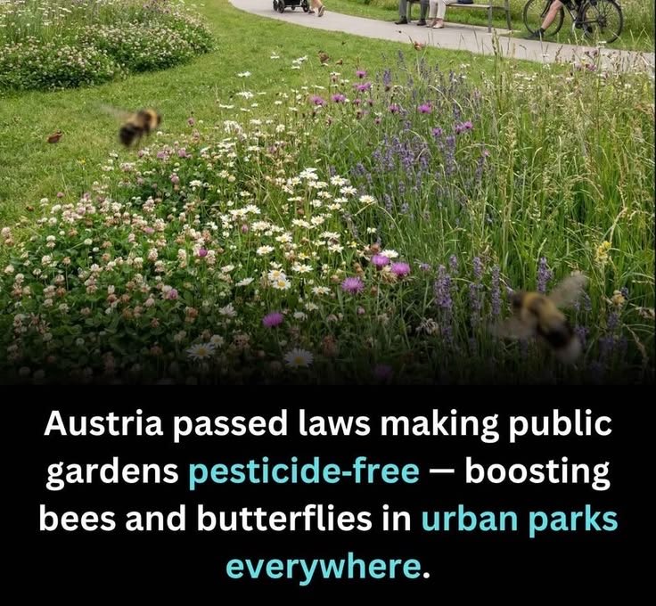 dominic dyer tweet media