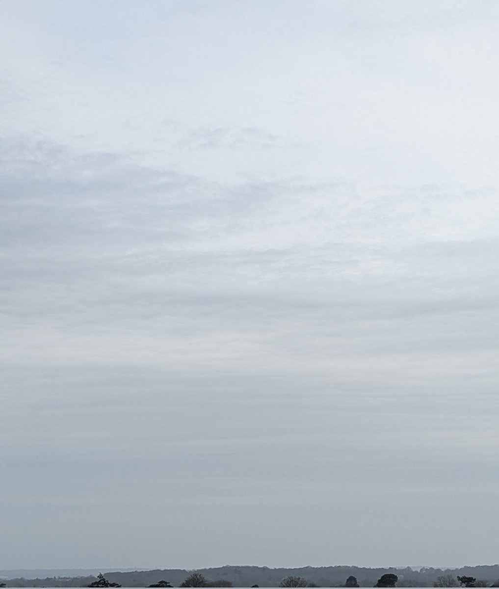 Lin Cork 🏴󠁧󠁢󠁥󠁮󠁧󠁿 tweet media