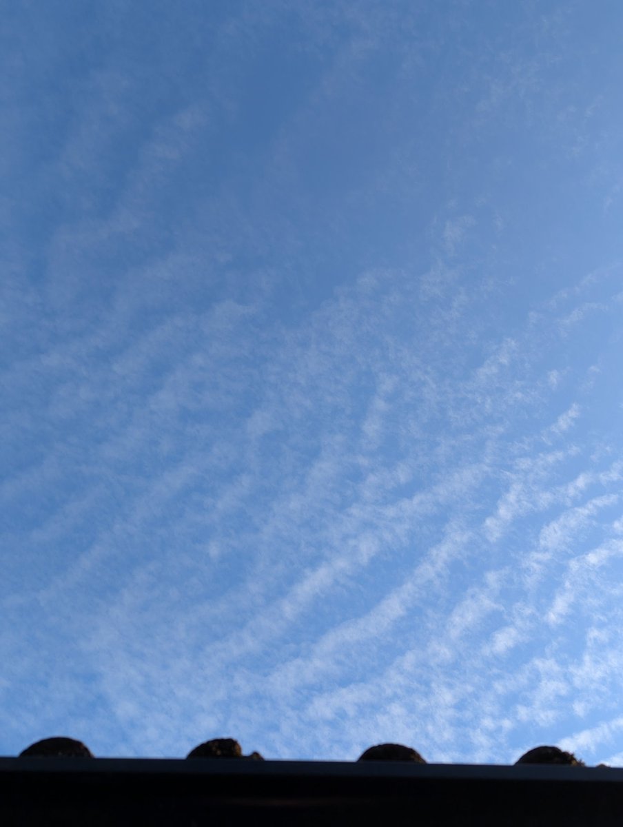 Lin Cork 🏴󠁧󠁢󠁥󠁮󠁧󠁿 tweet media